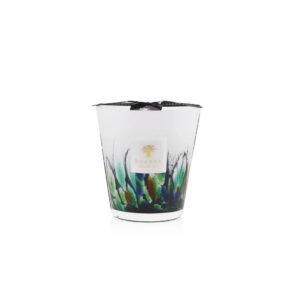 BAOBAB CANDLE RAINFOREST AMAZONIA MAX16 1KG - Image 1