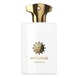 AMOUAGE HONOUR MEN EDP 100ML - Image 1