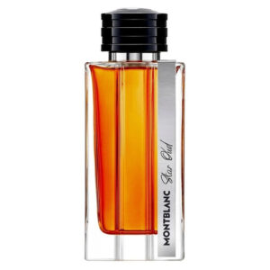 MONTBLANC COLLECTION STAR OUD WARM WOODS EDP 125ML - Image 1